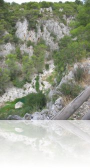 gravina_di_statte gravina_di_statte