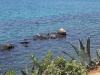 taranto004