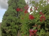 IMG20200829161140