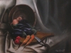 Cesto di verdura