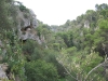gravina