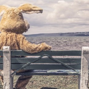 10 piccoli momenti di felicità 10 piccoli momenti di felicità