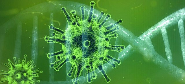 Il decalogo del corona virus